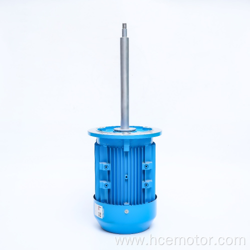 Custom Long Shaft Electric Motor